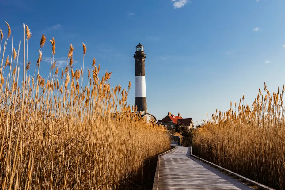 The Fire Island Lighthouse seen along a wooden boardwalk through tall reeds