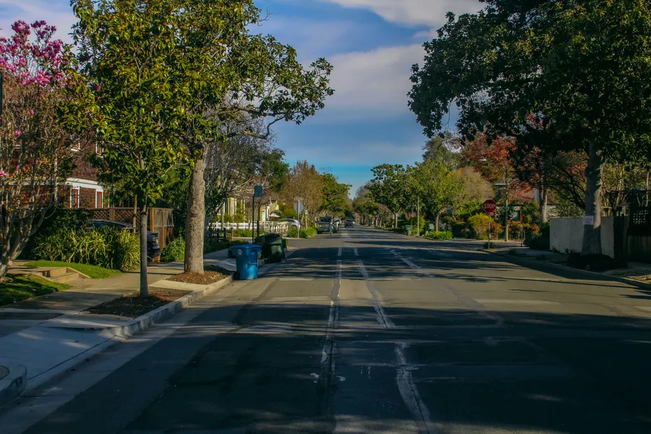 A tree-lined residential street in Palo Alto