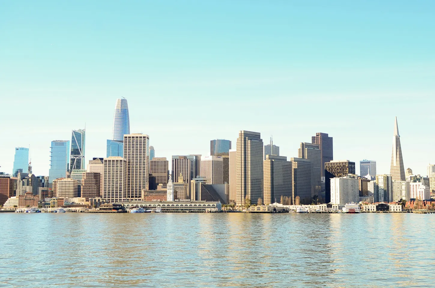 San Francisco skyline in daylight, seen from a hilltop across the city